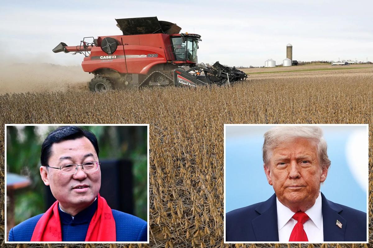 China says &lsquo;rampant&rsquo; US protectionism threatens agriculture, warns farmers shouldn&rsquo;t suffer over trade war